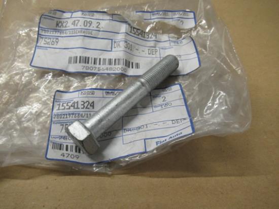 15541324 Bout M12x75