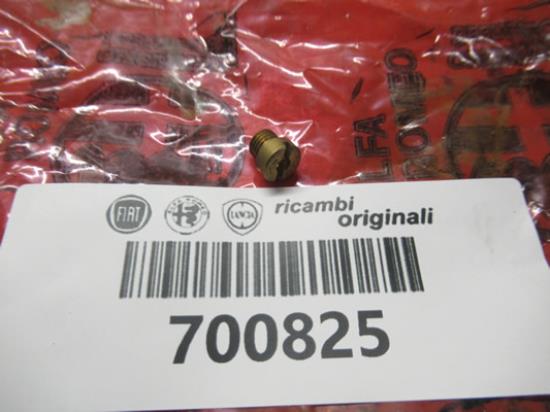 700825 Stelschroef carburateur Dellorto FRDA32F