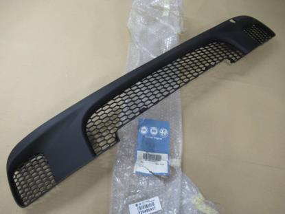 735495937 Grille voorbumper