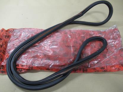 60509631 Profielrubber portier linksvoor