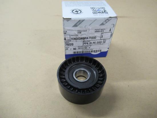 50045669 Multiriem geleiderol