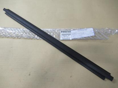 51821119 Profielrubber portier rechtsvoor