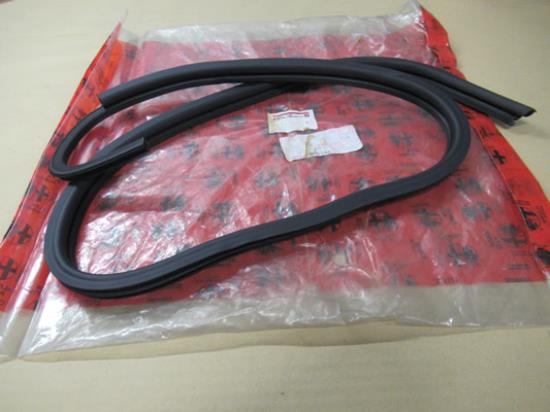 60630051 Profielrubber portier rechtsvoor