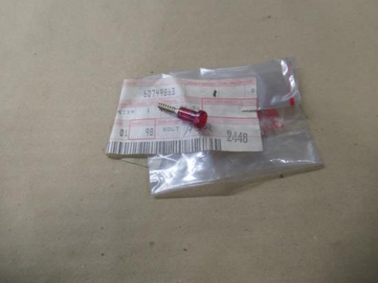 60749863 Remlicht bout