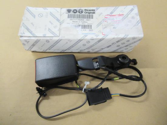 71778265 Gordeltulp linksvoor