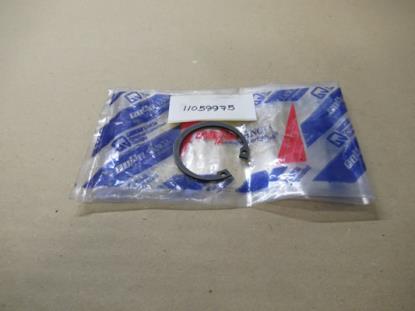 11059975 Distributie borgring