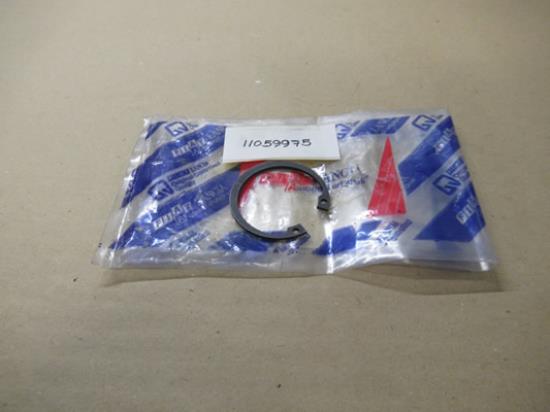 11059975 Distributie borgring