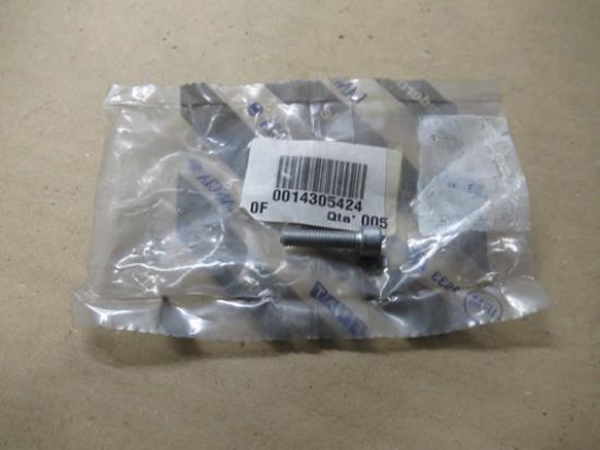 14305424 Bout M6x25