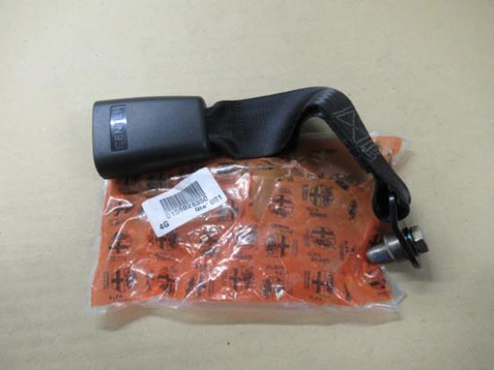 156026350 Achterbank veiligheidsgordel tulp