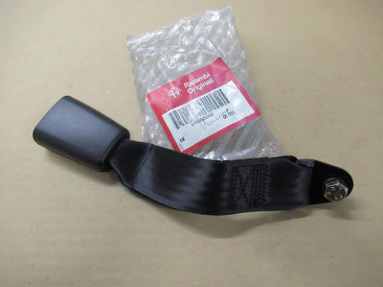 156026352 Achterbank veiligheidsgordel tulp