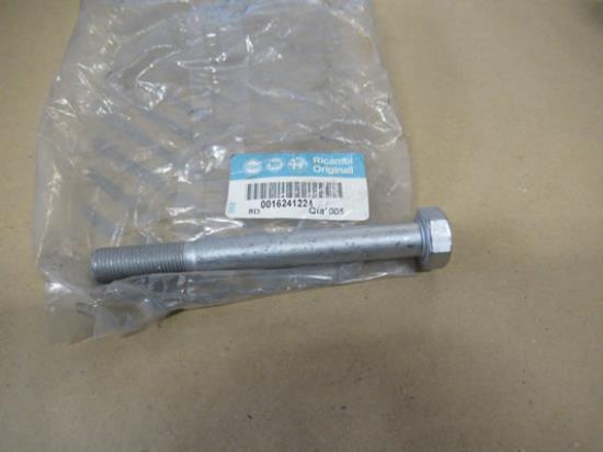 16241224 Bout M12x110