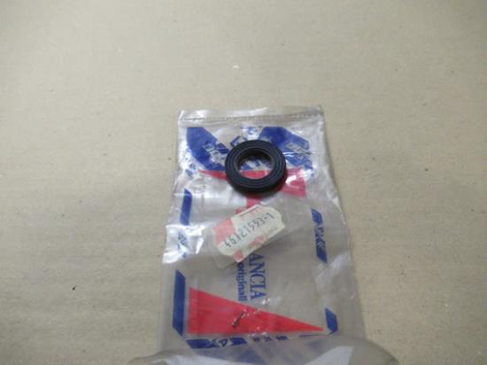 46121553 Waterpomp keerring