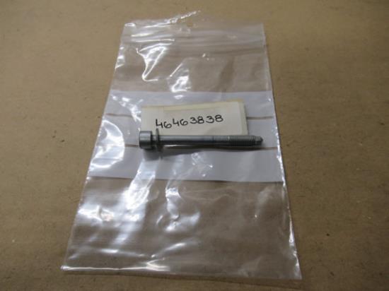 46463838 Bout met ring M6x60