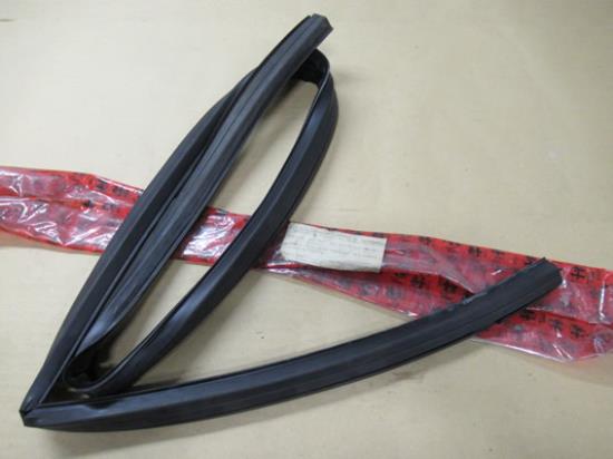 60523654 Portier profielrubber rechtsvoor