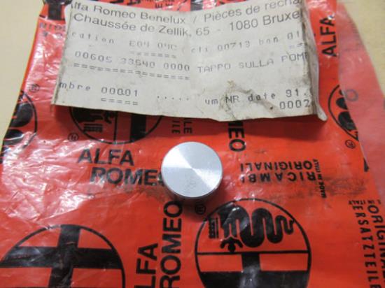 60533540 Waterpomp plug