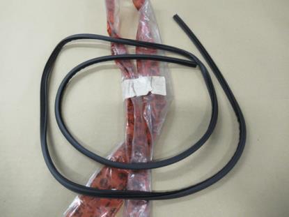 60582605 Voorruit raamrubber