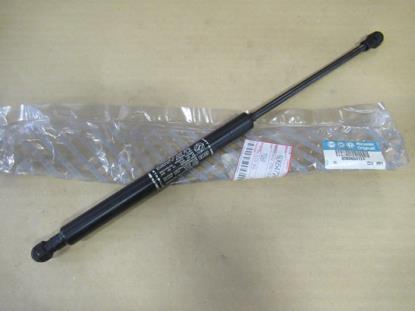 60654724 Motorkap gasveer