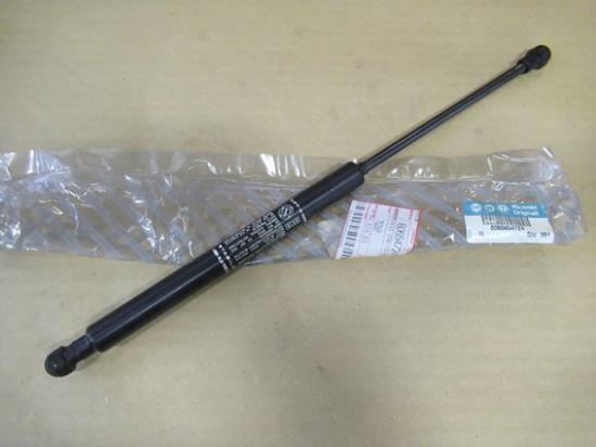 60654724 Motorkap gasveer