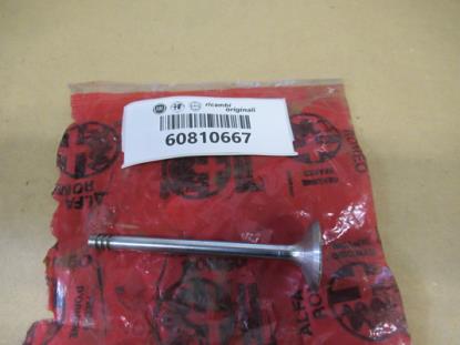 60810667 Uitlaatklep