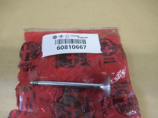 60810667 Uitlaatklep