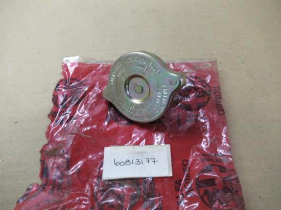 60813177 Radiateurdop