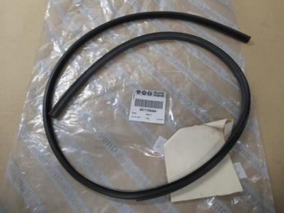 71739464 Panoramadak profielrubber rechterzijde