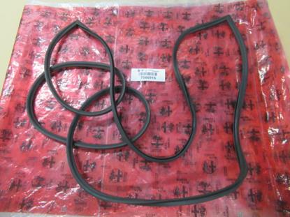 7566916 Achterruit profielrubber