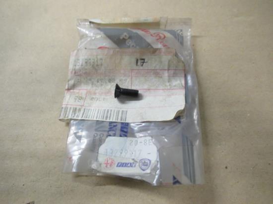 13299317 Zijruit bout