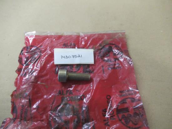 14307521 Bout M10x30