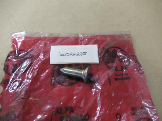 60522295 Portier scharnier bout