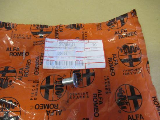 51795941 Klinknagel M6x16