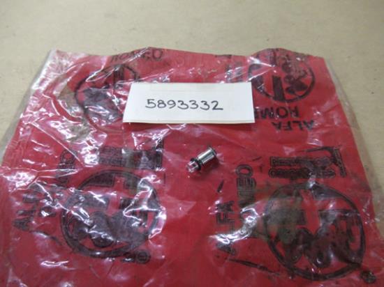 5893332 Onsteking gloeilamp