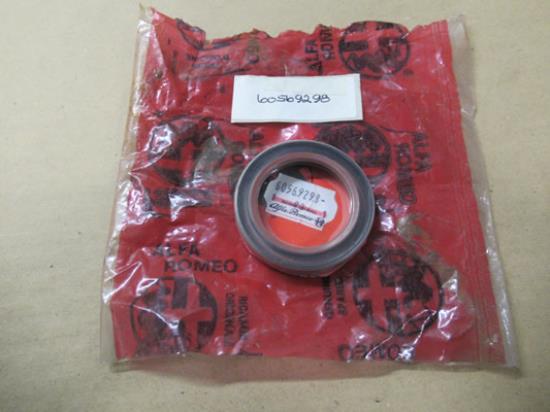 60569298 Krukas keerring voorzijde 56x40x10