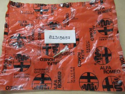 82315657 Achteruitrijverlichting glas bout Lancia Delta Y10