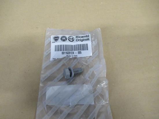 11620124 Bout met ring M8x20