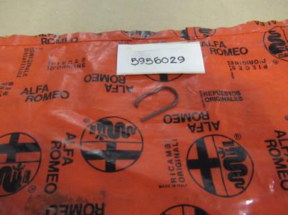 5956029 Versnellingsbak veer