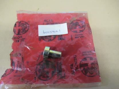 60534661 Knop afdekkap