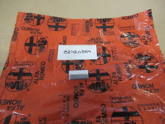 82420564 Achterklep ruit afdekplaat