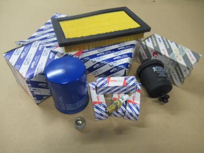 OHP001A Onderhoudspakket Panda 900