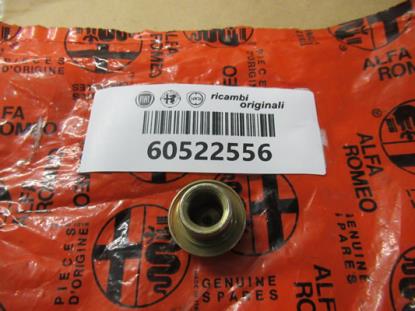 60522556 Moer