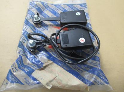 176955080 Veiligheidsgordeltulp