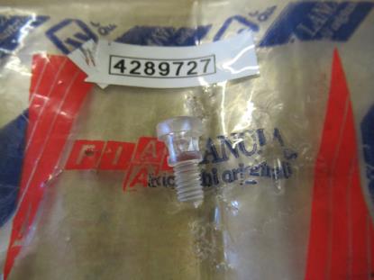 4289727 Koplamp schroef