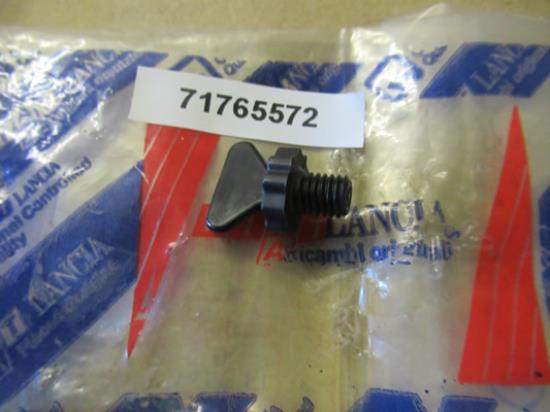 71765572 Radiateur plug