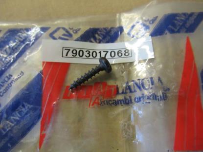 7903017068 Bout M4.5x20