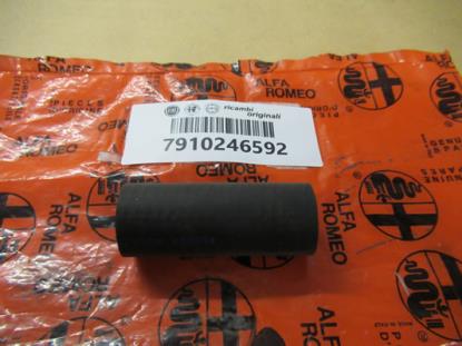 7910246592 Waterpomp slang