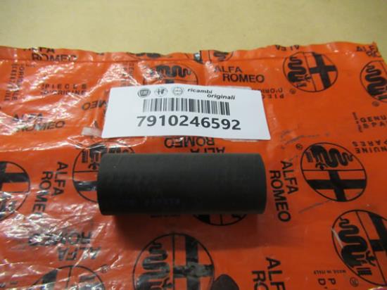 7910246592 Waterpomp slang