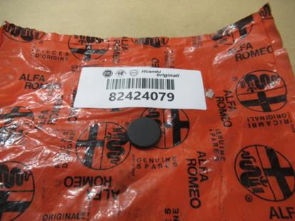 82424079 Deurpaneel plug