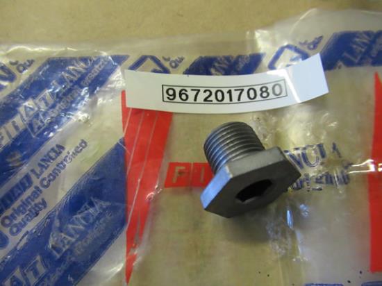 9672017080 Carterplug