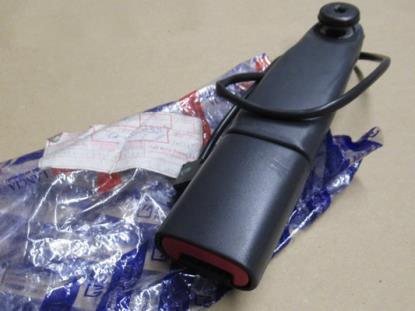 129282636 Gordeltulp linkerzijde