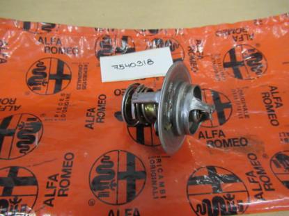 7540318 Thermostaat